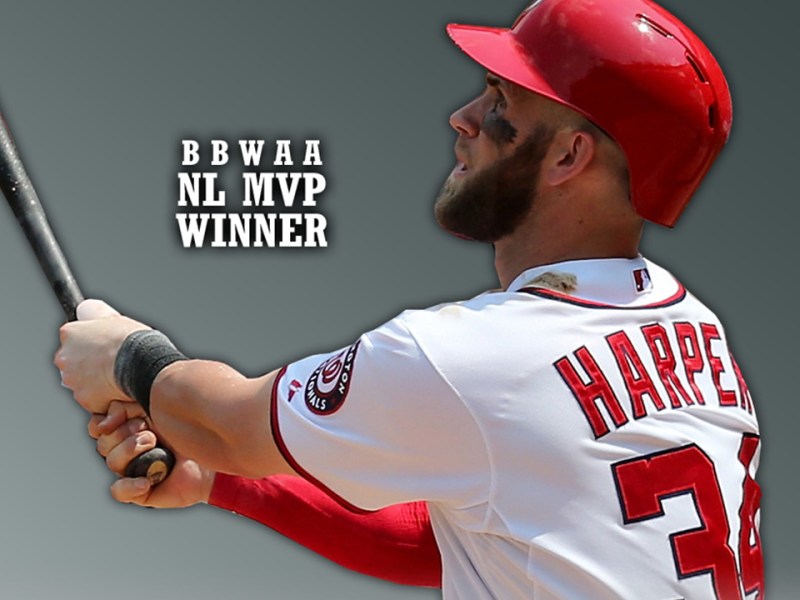 Washington Nationals' Bryce Harper /Photo: mob.com