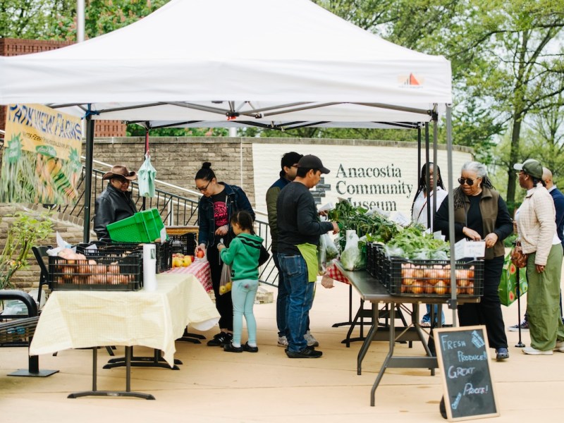 The ACM Farm Stand is open every Saturday (weather permitting) on the ACM Plaza from 10 a.m.-noon until Nov. 23. (Matailong Du via Anacostia Community Museum)