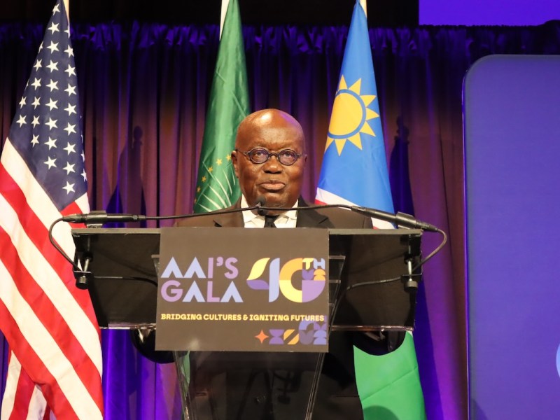 Africa-America Institute Gala Celebrates Ties Among African Diaspora