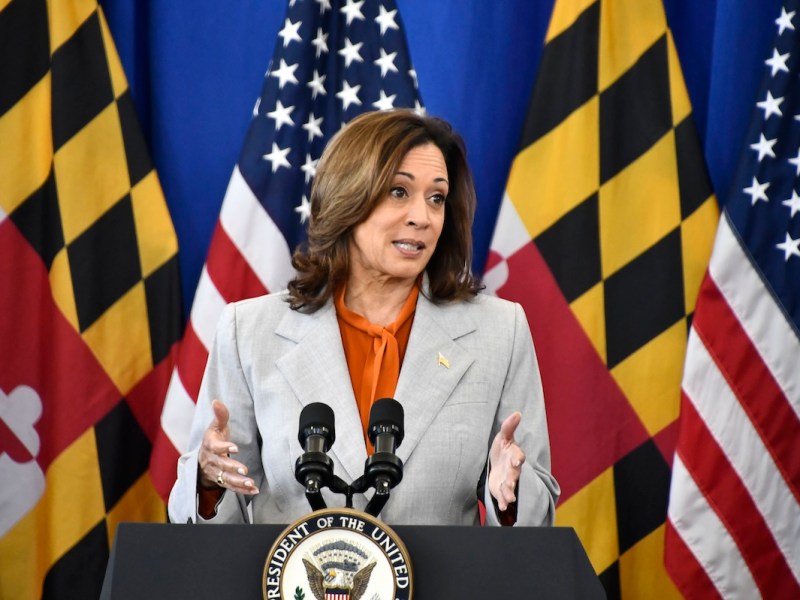 **FILE** Vice President Kamala Harris, the Democratic nominee for president, issued a stern warning to those seeking to profit off Americans in crisis, declaring they will be held accountable if caught trying to do so. (Robert R. Roberts/The Washington Informer)