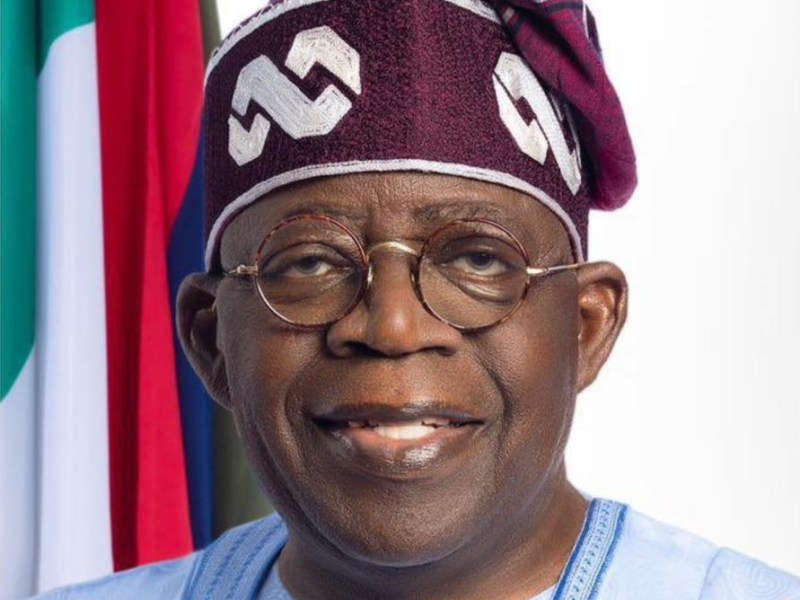 Tinubu Orders Crackdown on Transnational Car Thieves in Nigeria