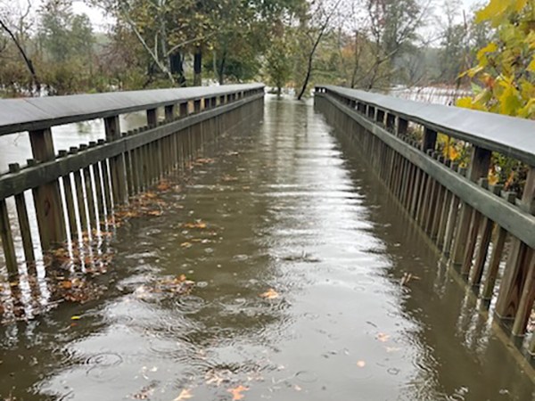 Ward 7 Group Prepares Homeowners to ‘Survive, Adapt, Thrive’ During Natural Disasters