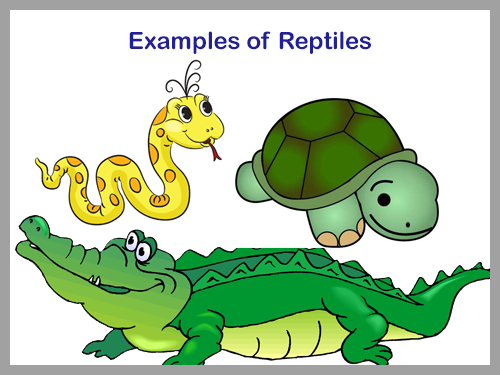 Reptiles